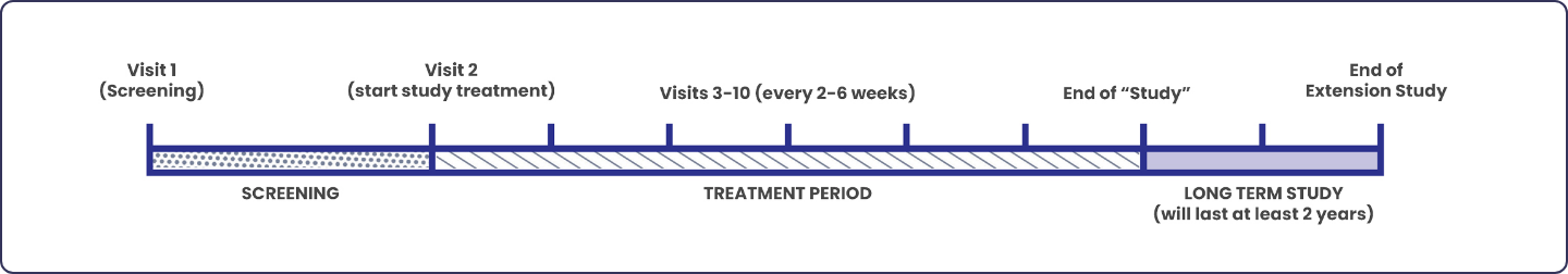 Graph showing the screening period, treatment period, and follow-up period.